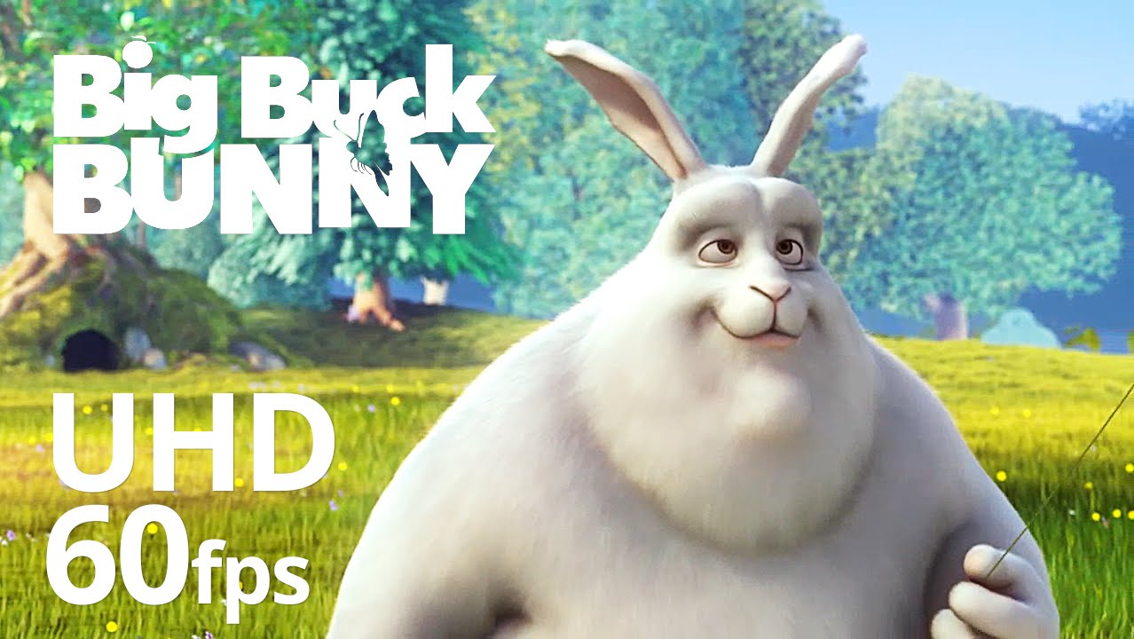 Big Buck Bunny Banner